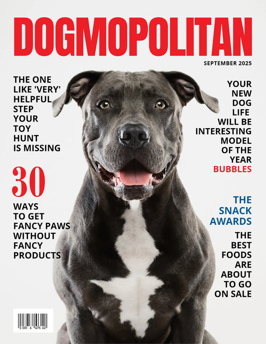 Magazine Cover Poster, Birthday or Retirement Gift, Pet Poster Gifts, Editable in Canva