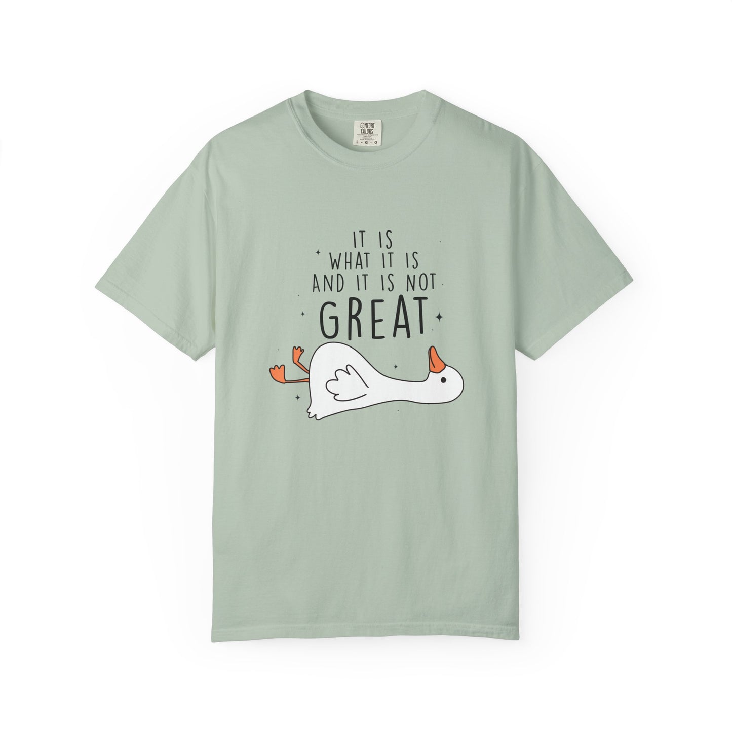 It is what it is and it's not great Silly goose  Unisex Garment-Dyed T-Shirt - Casual Vintage Style for Everyday Wear