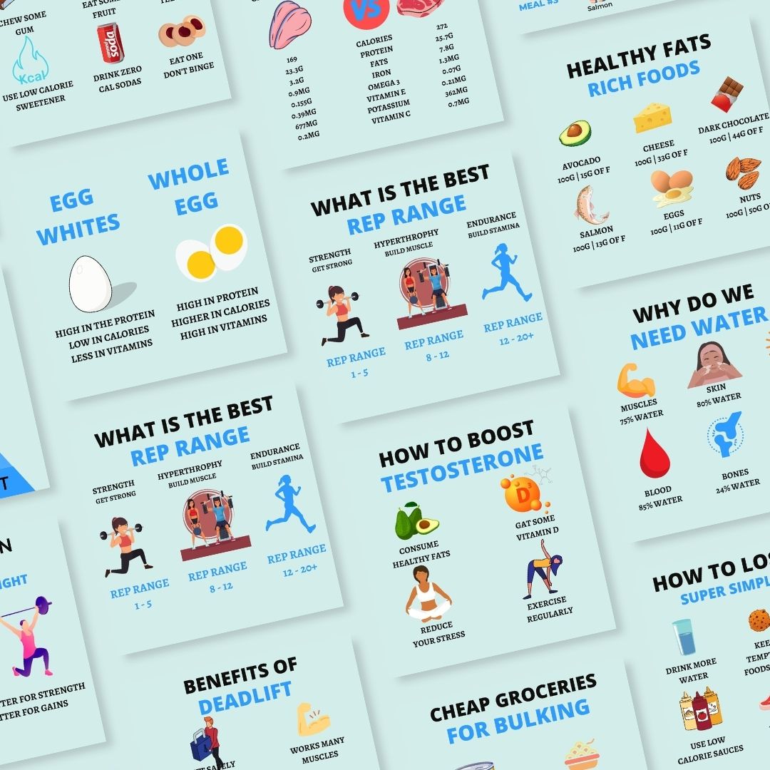 Fitness Infographic Social Media Instagram, Editable Canva Templates