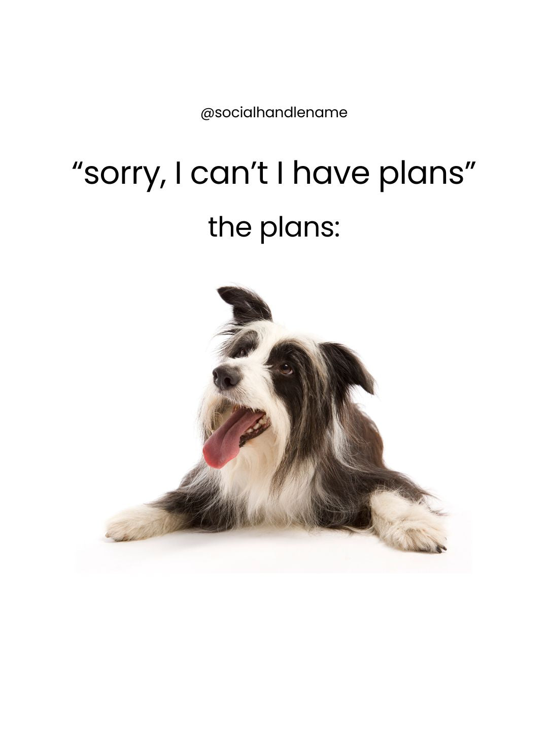 I have two moods, sorry, I’m busy, Born Force IG Post