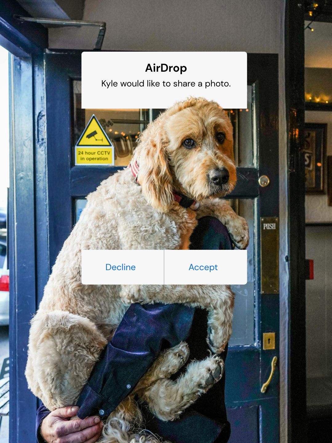 AirDrop.jpg__PID:88648522-5840-4793-99e6-751d266b6ff3