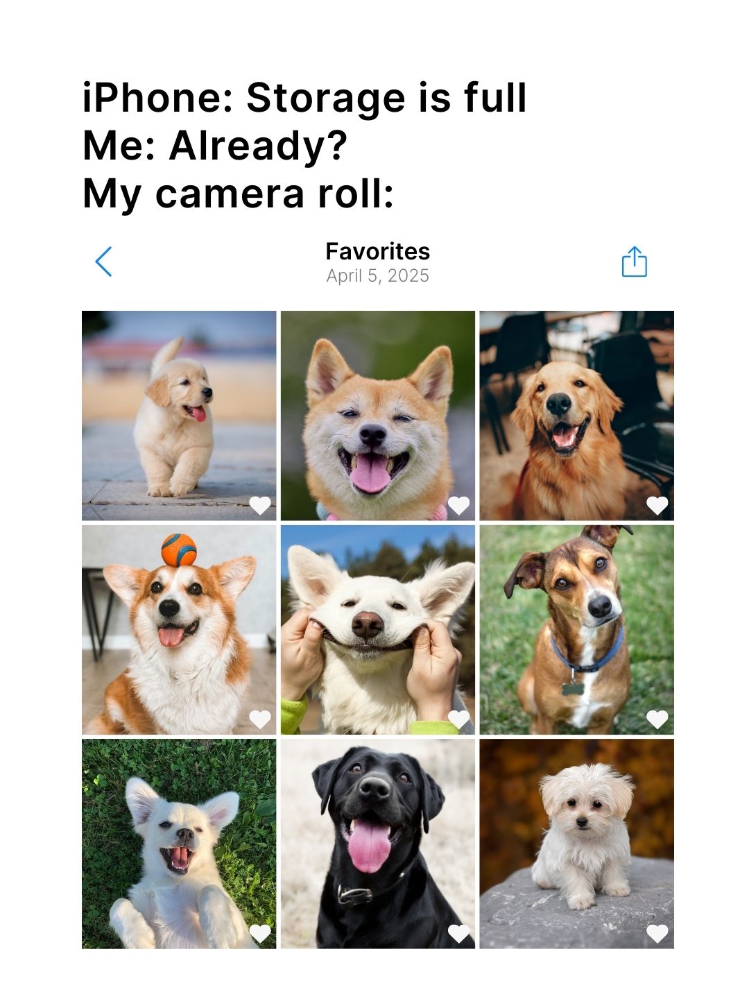 AirDrop - Camera roll - You were in my dream IG Post