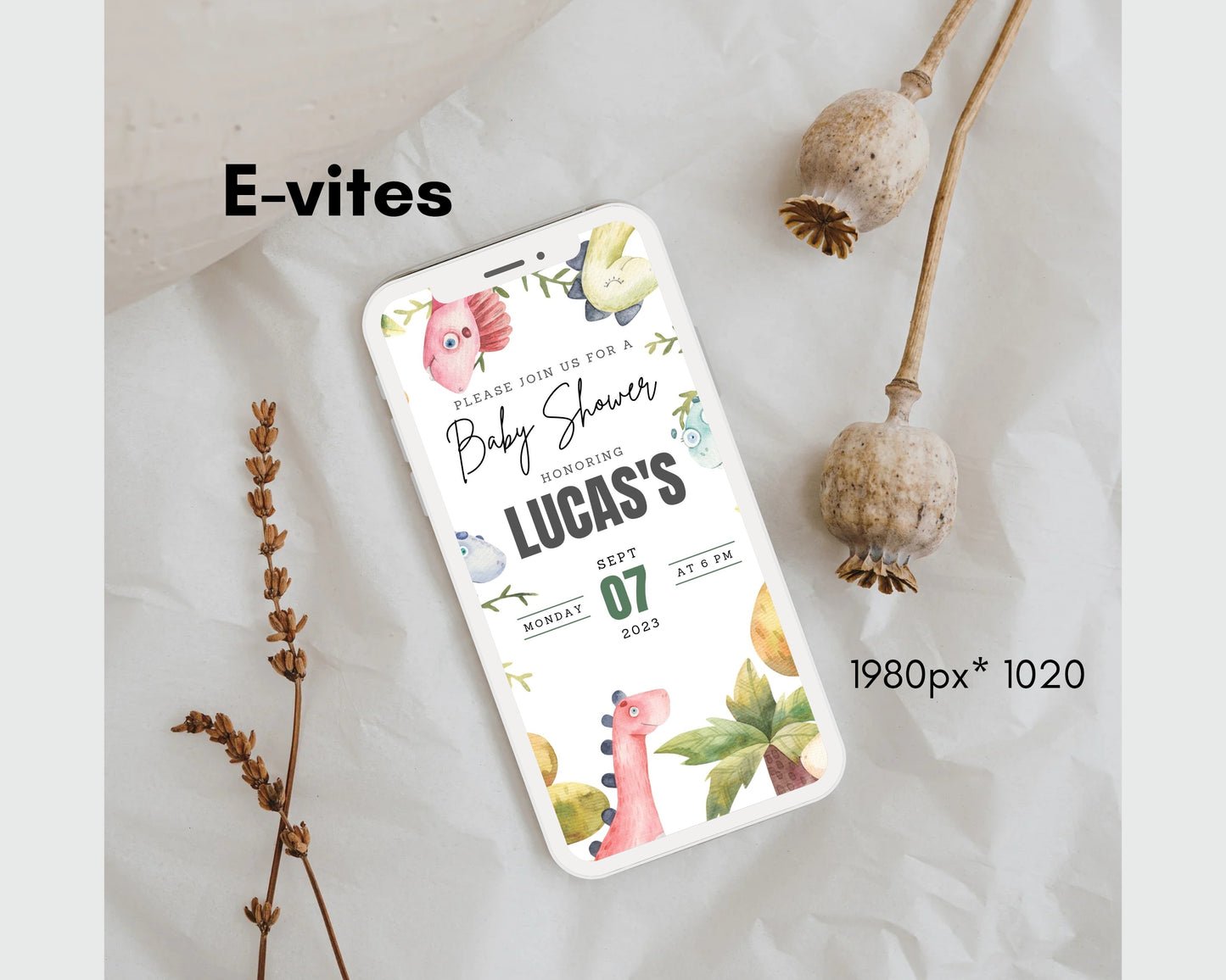 Baby Shower Birthday Party Invitation BSDWS82