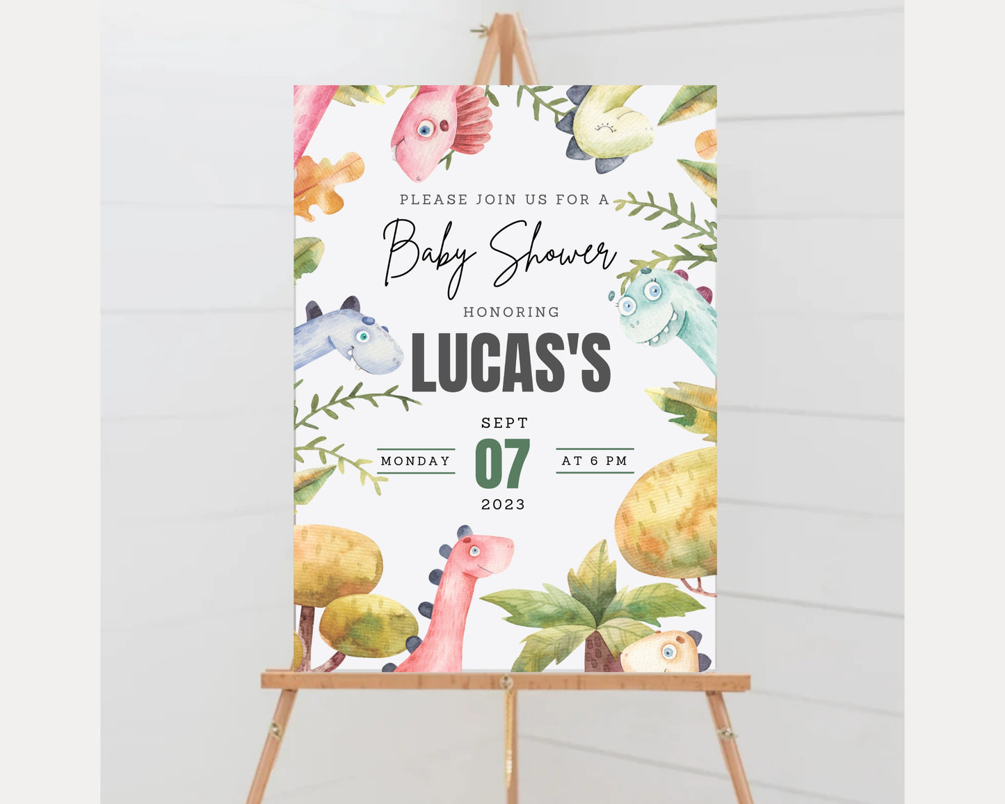 Baby Shower Birthday Party Invitation BSDWS82